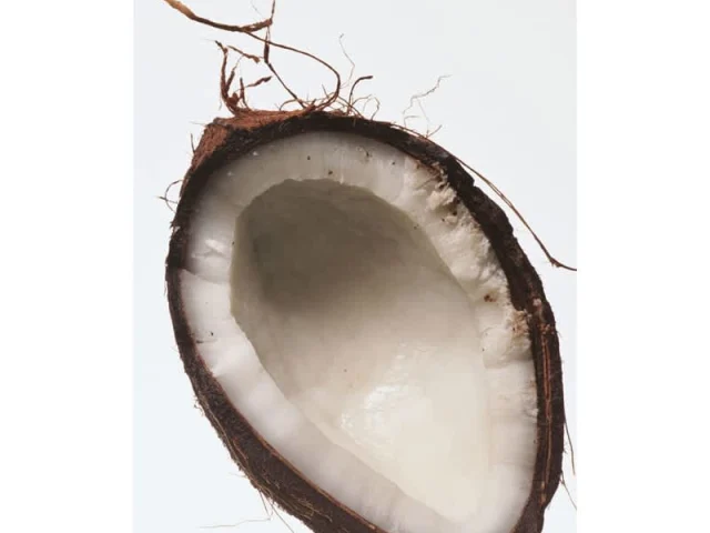 φουρνιστή κρέμα με ρούμι και καρύδα & σορμπέ λάιμ (μόνο...) recipe