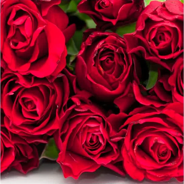 Χειροποίητο Ροδόνερο