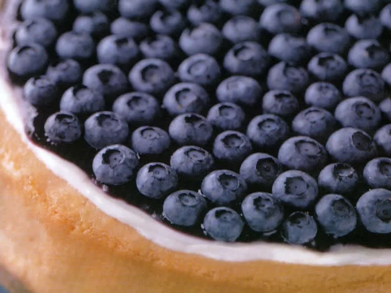 Cheesecake με φρούτα του δάσους!