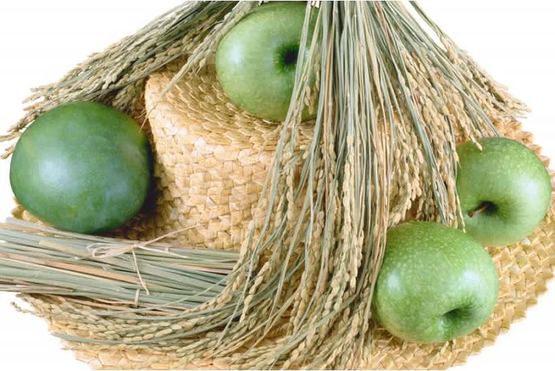 Κέικ  (γλύκισμα) μήλου