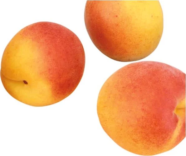 Συμπυκνωμένος χυμός βερίκοκου