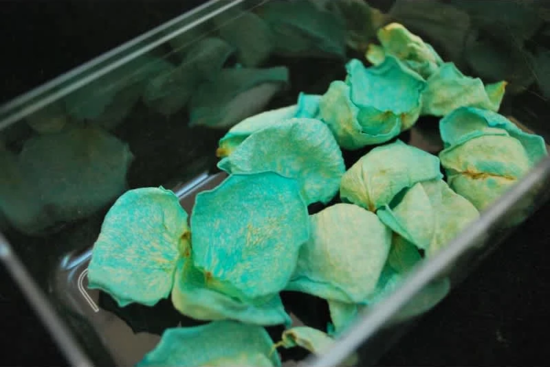 Κρυσταλλωμένα άνθη για διακόσμηση