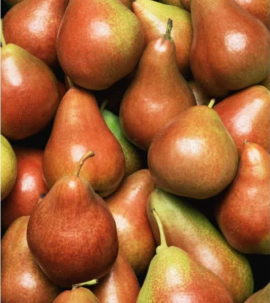 Τάρτα με καραμελωμένα αχλάδια