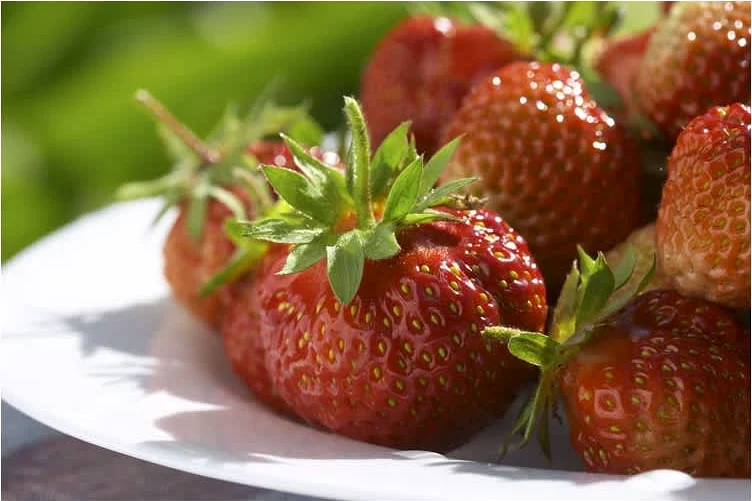 Φραουλένια τούρτα οχυρωμένη με πουράκια