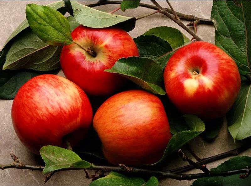 Κέικ μηλόπιτας