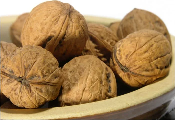 Κορμός χαλβά με ξηρούς καρπούς & κουβερτούρα