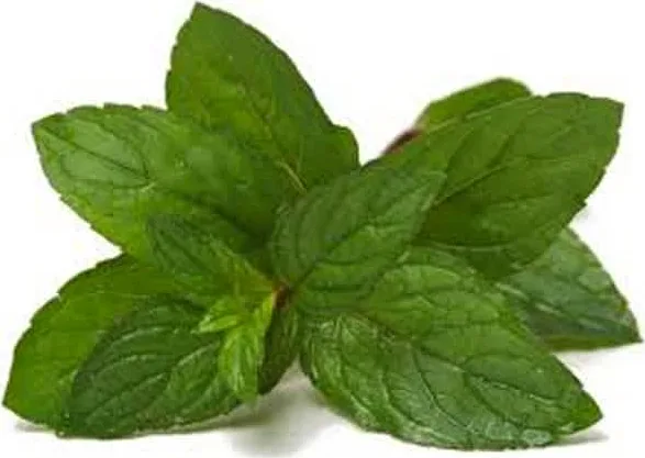 μέντες σοκολάτας