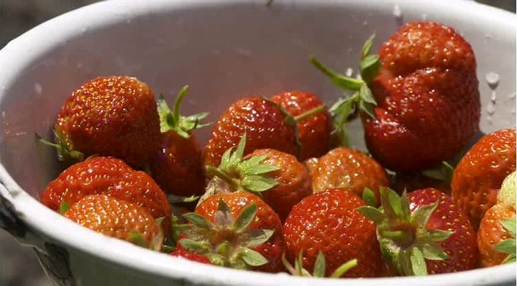 Ντόνατς βανίλιας-φράουλας του φούρνου