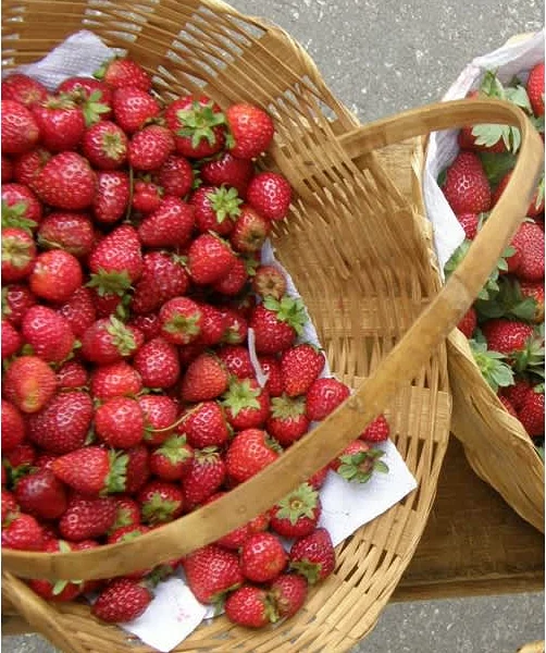 Μαρμελάδα φράουλας με ολόκληρες φράουλες!