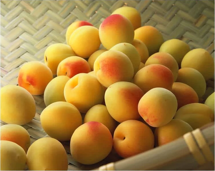 Γλυκό Βερίκοκο