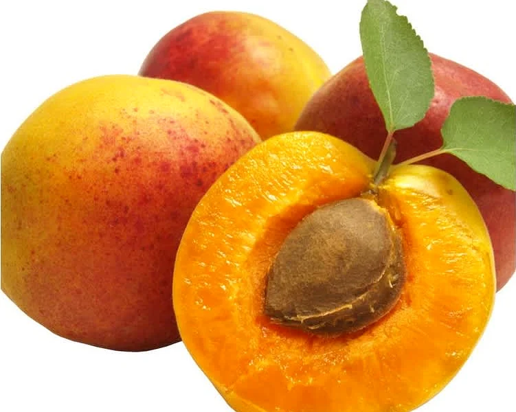 Βερίκοκο Κομπόστα