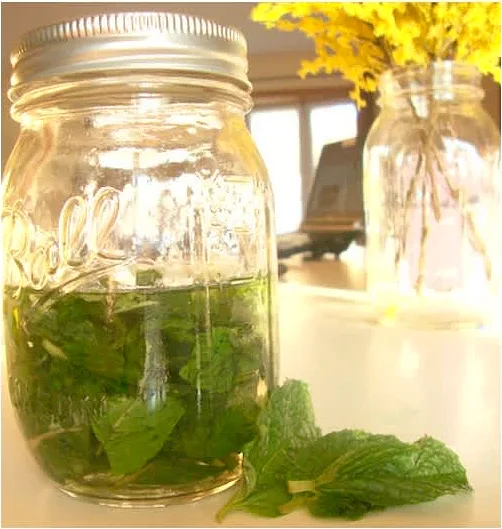 σπιτικό εκχύλισμα μέντας! (για να μην ψάχνεις...)