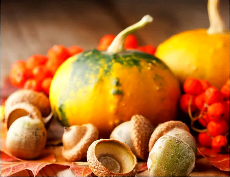 γλυκιά ΚΟΛΟΚΥΘΟΠΙΤΑ