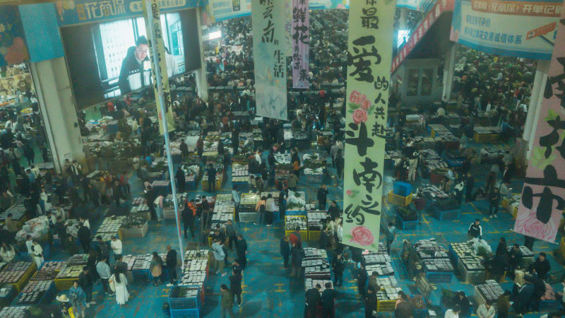 人间万象