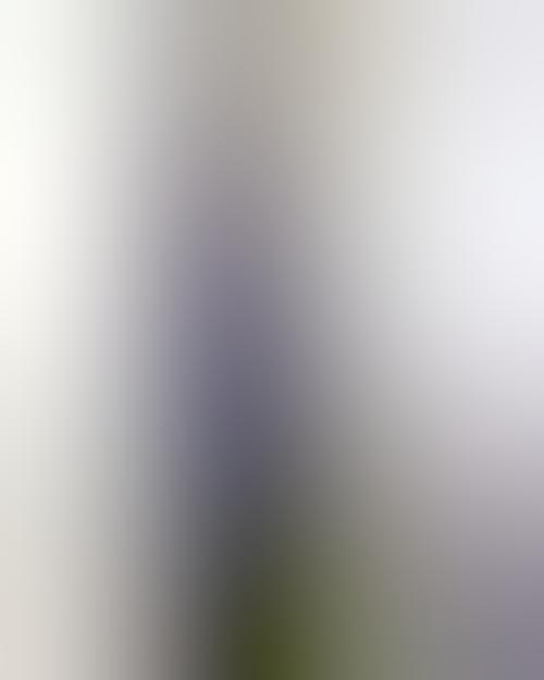 instagram bild vorschaubild