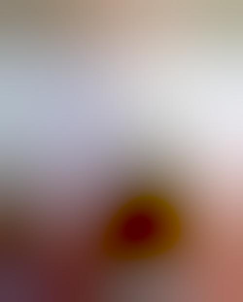 instagram bild vorschaubild
