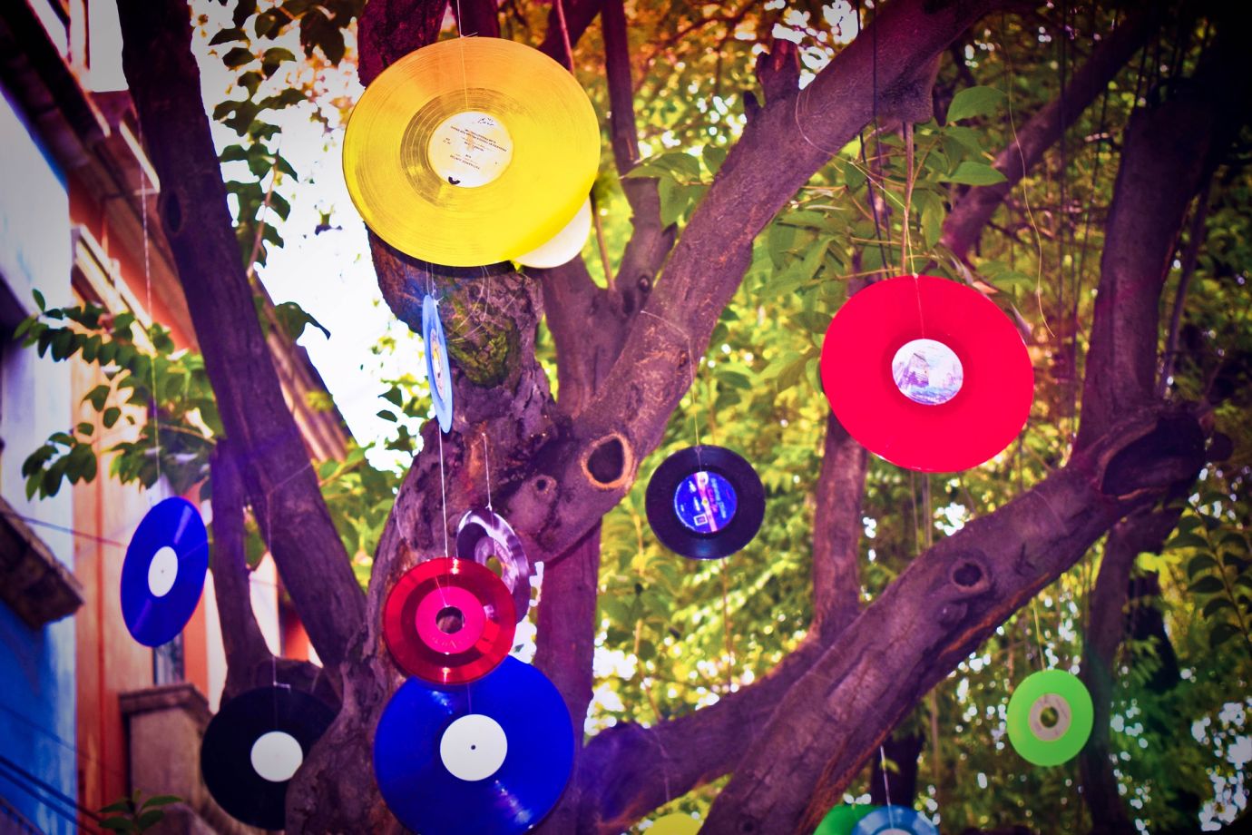 Baum mit farbigen Schallplatten