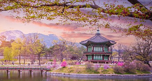 Korea University