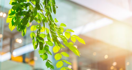 Sustainable Business