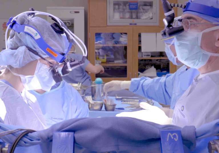 Obstetrics and Gynecology Resource Center Medical Professionals Mayo Clinic