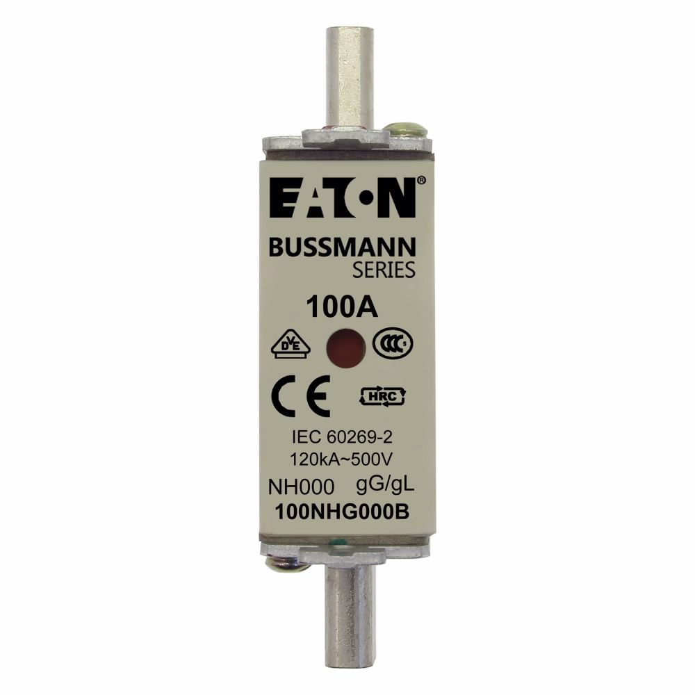 300A Fast Acting Melamine Class H Fuse 250VAC 125VDC - 3