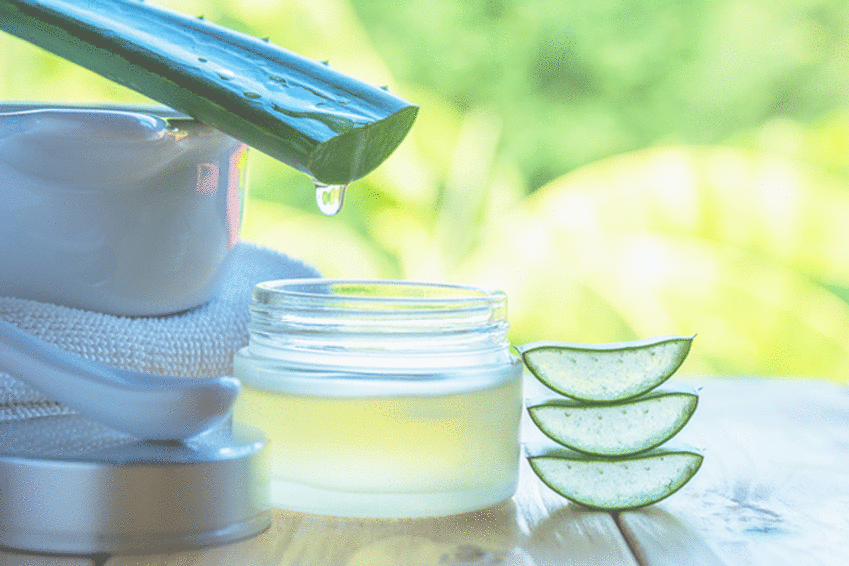 aloe vera for dandruff