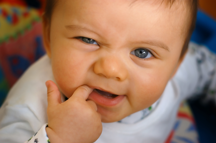 Teething and Tooth Truths Quiz!