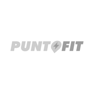 punto fit