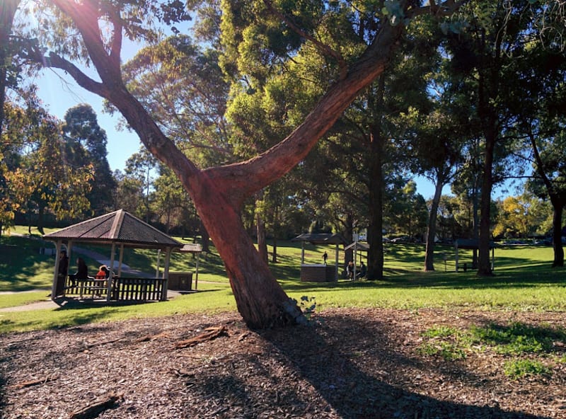 GEORGE THORNTON RESERVE BBQ Area