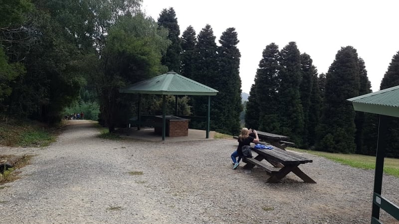 RJ HAMER ARBORETUM BBQ Area