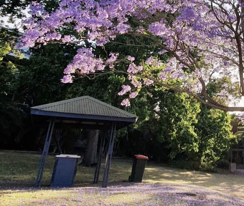 BEATRICE THOMSON PARK BBQ Area