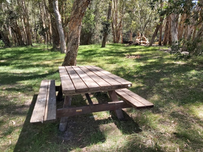 CUDGEN LAKE BBQ Area