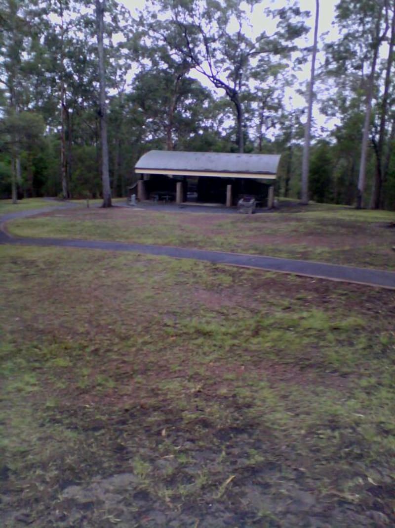 MOUNT COOT-THA FOREST BBQ Area