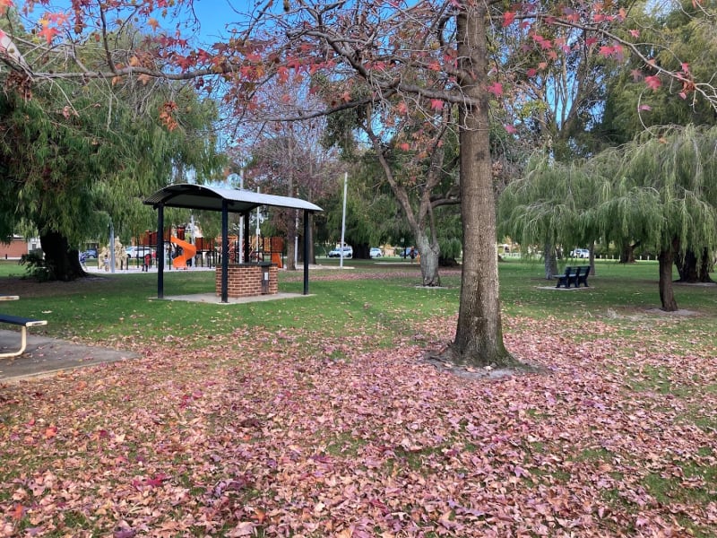 OLIVES RESERVE BBQ Area