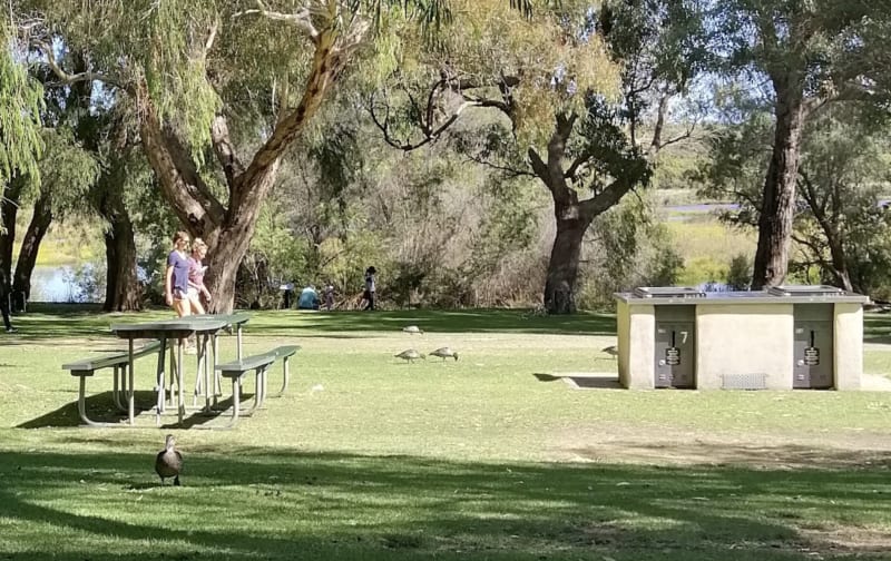 YANCHEP NATIONAL PARK BBQ Area