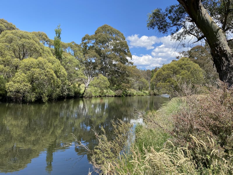 THREDBO RIVER PICNIC AREA BBQ Area