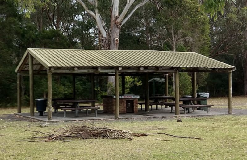 BLACKBUTT FOREST RESERVE BBQ Area