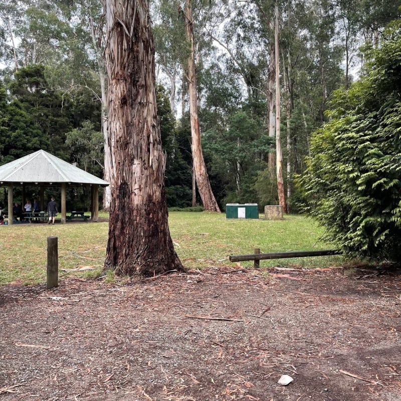 MAROONDAH RESERVOIR PARK BBQ Area