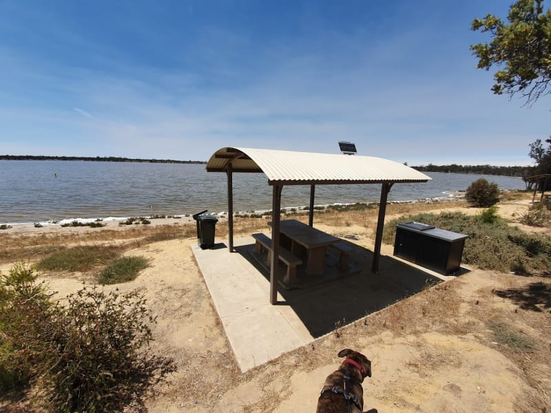 LAKE EWLYAMARTUP BBQ Area