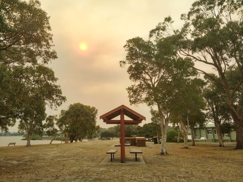 RODD PARK BBQ Area