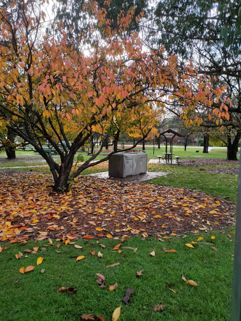 GLEBE PARK BBQ Area