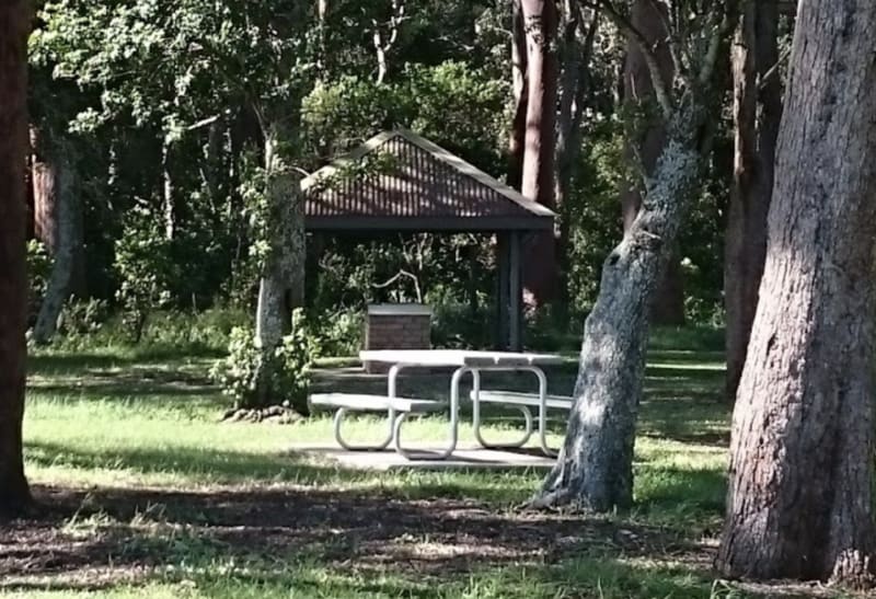 CAMS WHARF BOAT RAMP  BBQ Area