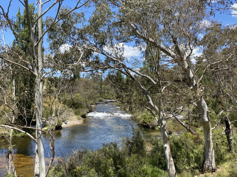 THREDBO RIVER PICNIC AREA BBQ Area