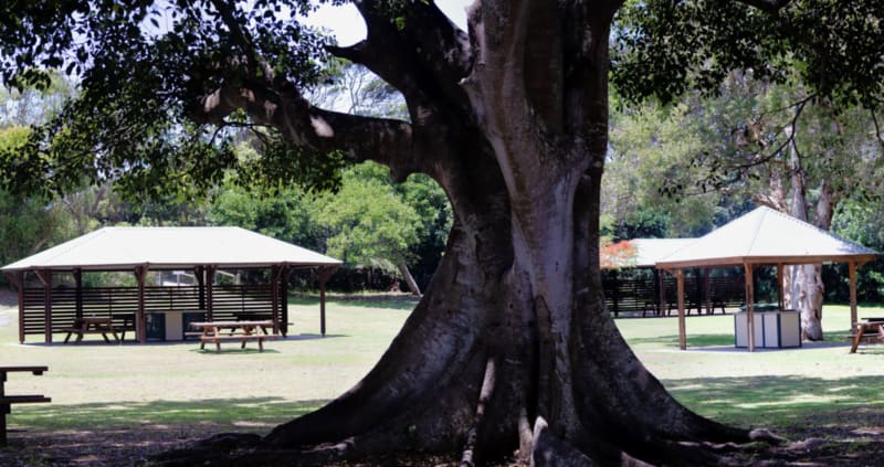 SCOTTS HEAD RESERVE BBQ Area