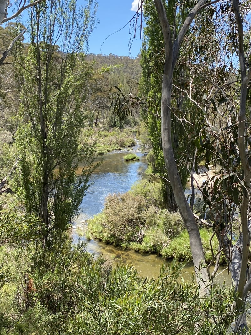 THREDBO RIVER PICNIC AREA BBQ Area