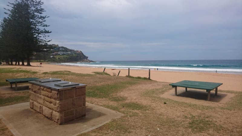 WHALE BEACH BBQ Area