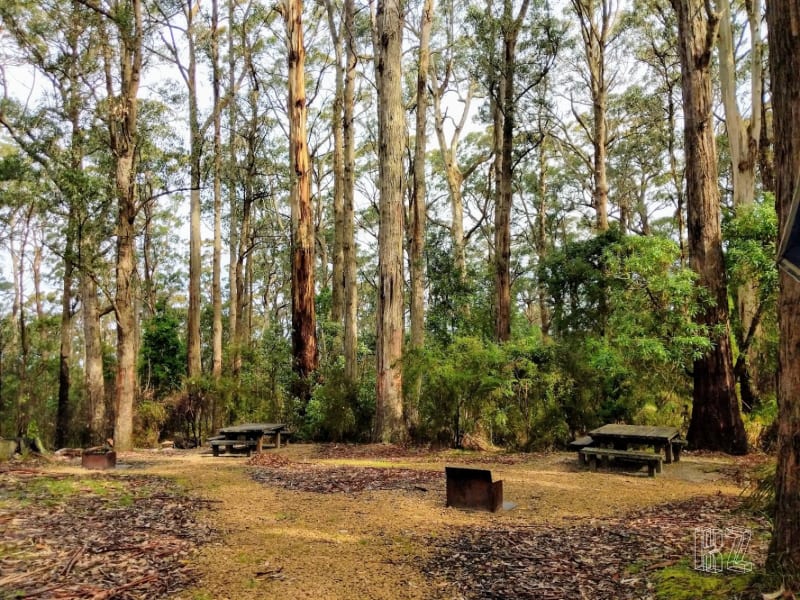 BLANKET LEAF PICNIC AREA BBQ Area