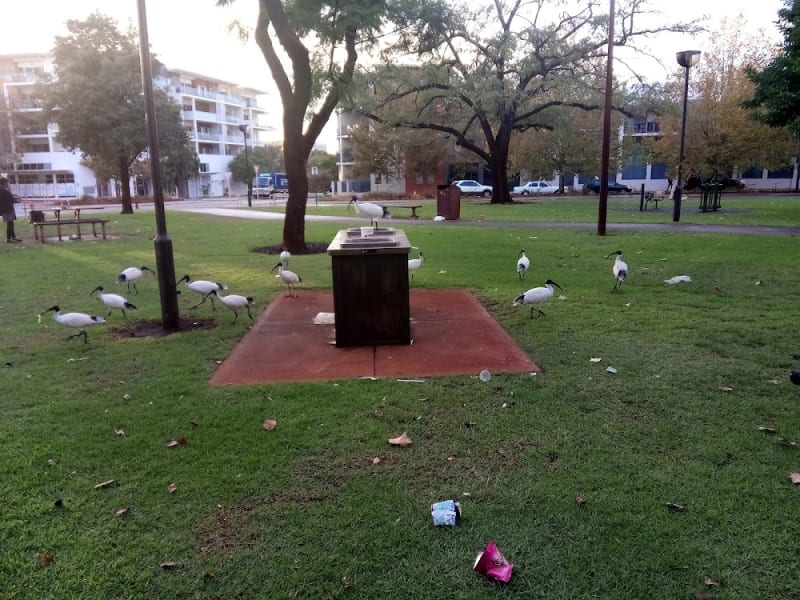 WELD SQUARE BBQ Area