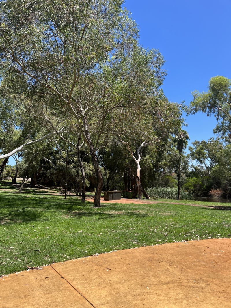 CENTENNIAL PARK BBQ Area