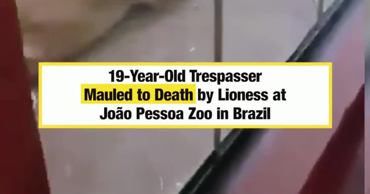 19-Year-Old Trespasser Mauled to D**th by Lioness at João Pessoa Zoo in Brazil